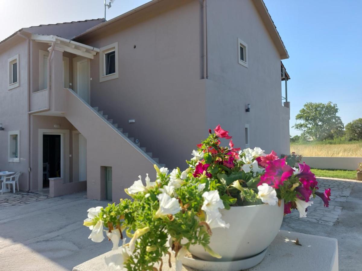 Evelina Luxury Suites In Corfu 입소스 외부 사진